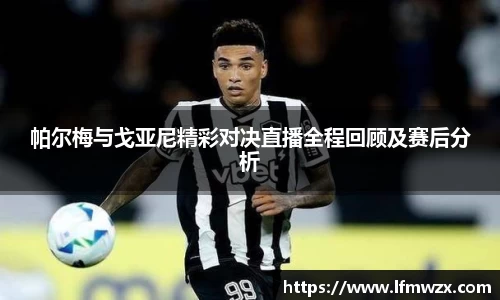 帕尔梅与戈亚尼精彩对决直播全程回顾及赛后分析